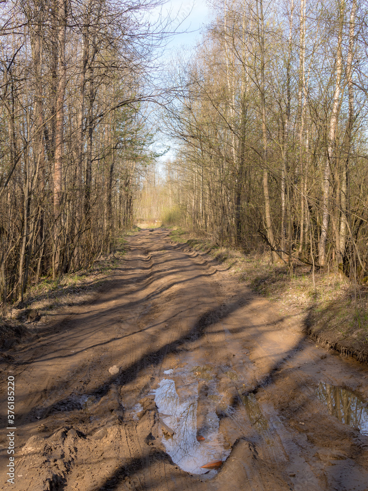 dirt road in spring forest dirt road in spring forest