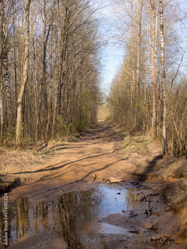 dirt road in spring