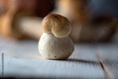 Forest edible mushrooms boletus in the studio on a wooden background close-up.