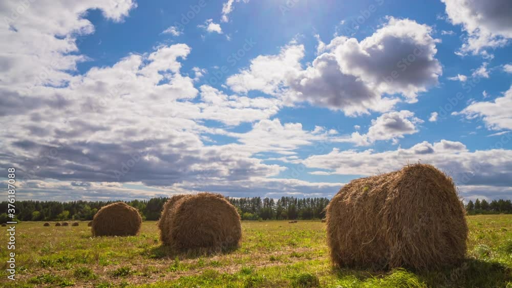 Yellow haystacks, field wheat, blue sky with clouds. Beautiful dynamic landscape on Sunny day. Beauty nature, agriculture and seasonal harvest time. Scenic agricultural land, cinemagraph, 4K Timelapse Yellow haystacks, field wheat, blue sky with clouds. Beautiful dynamic landscape on Sunny day. Beauty nature, agriculture and seasonal harvest time. Scenic agricultural land, cinemagraph, 4K Timelapse