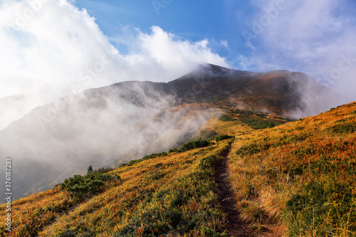 Amazing foggy autumn day. Landscape with high mountains. Forest of the pine trees. The early morning mist. Touristic place. Natural landscape. Free space for text.