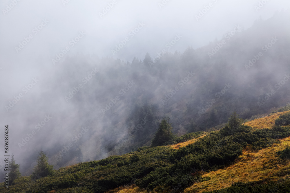 Amazing foggy autumn day. Landscape with high mountains. Forest of the pine trees. The early morning mist. Touristic place. Natural landscape. Free space for text.