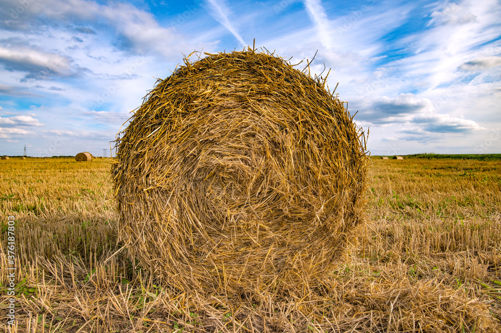 round bale of straw on a mown field against a blue sky