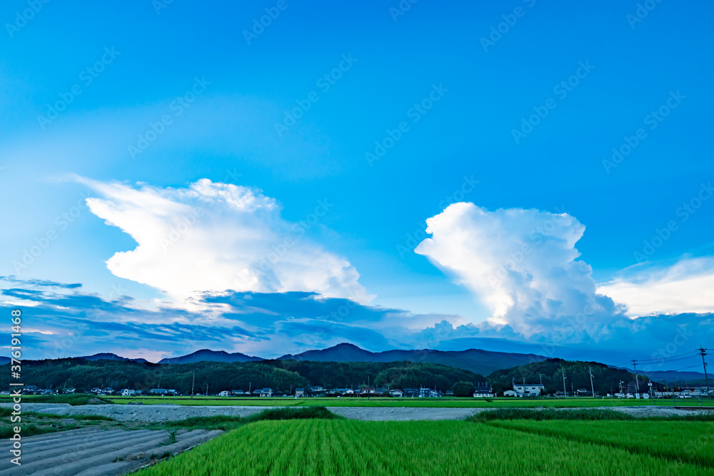 夏の白い入道雲と緑の田んぼと青い空のある風景が美しい