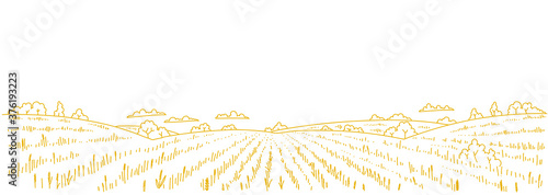 Dry grass meadow. Agriculture field. Hand drawn sketch. Rural landscape panorama. Horizontal banner. Copy space.