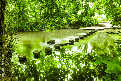 Stepping stones on a path to Box Hill photo