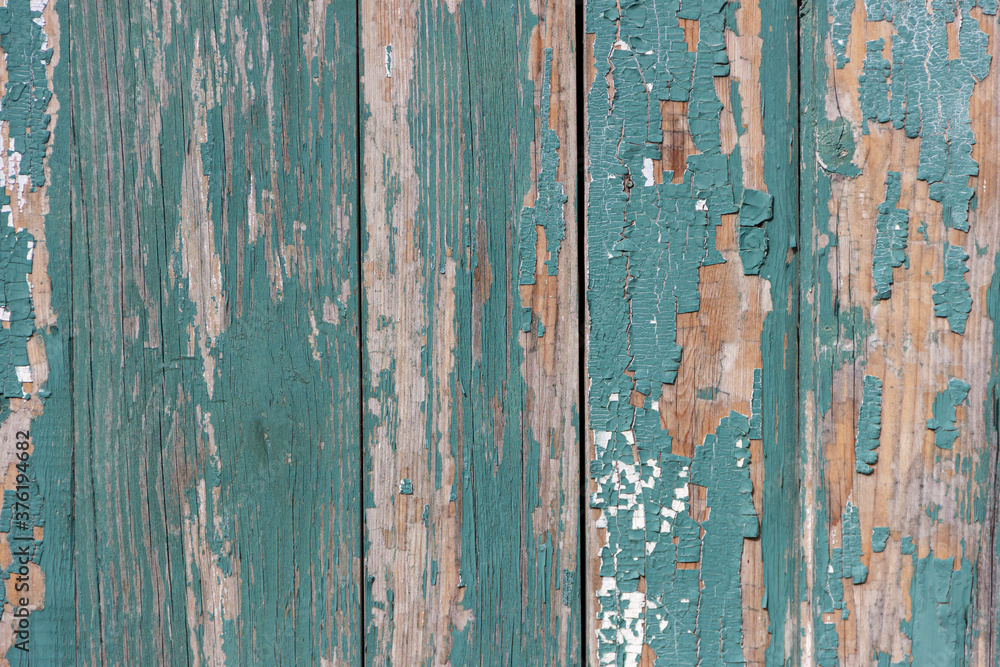 The surface of old boards, painted with blue paint, peeled off and burnt out in the sun. The surface of old boards, painted with blue paint, peeled off and burnt out in the sun.