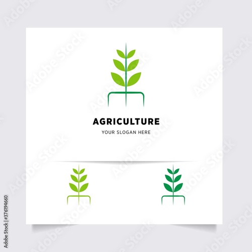 flat emblem logo design for Agriculture with the concept of green leaves vector. Green nature logo used for agricultural systems, farmers, and plantation products. logo template.