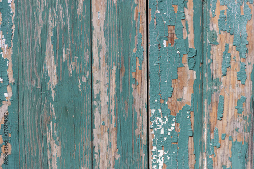 The surface of old boards, painted with blue paint, peeled off and burnt out in the sun.