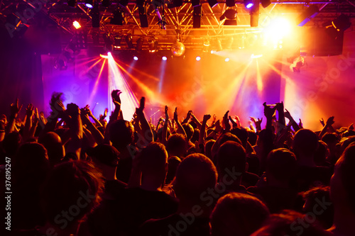 concert crowd at rock concert © DWP