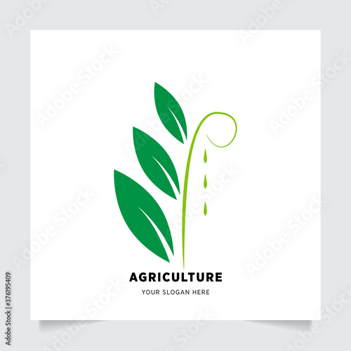 flat emblem logo design for Agriculture with the concept of green leaves vector. Green nature logo used for agricultural systems, farmers, and plantation products. logo template.