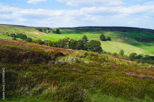 North York Moors with heather in bloom, fields, under blue sky. Glaisdale, UK.