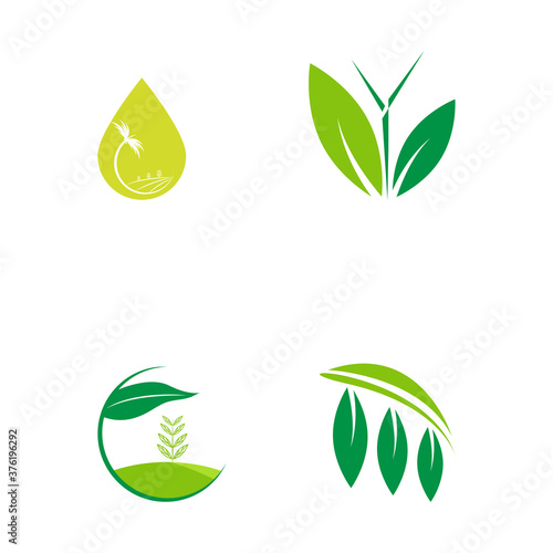 flat emblem logo design for Agriculture with the concept of green leaves vector. Green nature logo used for agricultural systems, farmers, and plantation products. logo template.