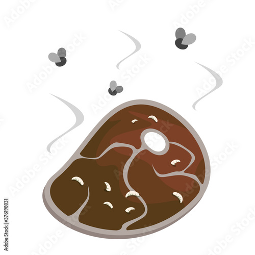Meat steak becomes rotten vector isolated. Dirty raw meat, contaminated food. Maggot on rotting product. Insects flying around the food.