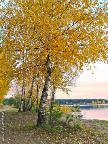 Wallpaper Mural autumn landscape with trees and lake Torontodigital.ca