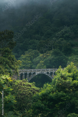 Brücke im Dschungel - Madeira