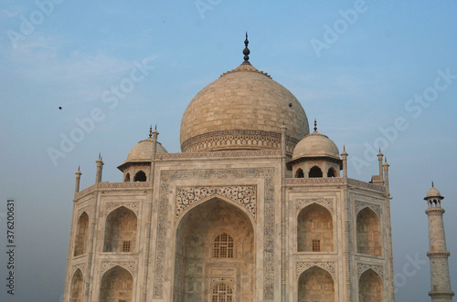 Details of the Taj Mahal glisten in the early morning light. The sky is a soft blue. Two birds are flying past the dome, and a pillar is to one side.