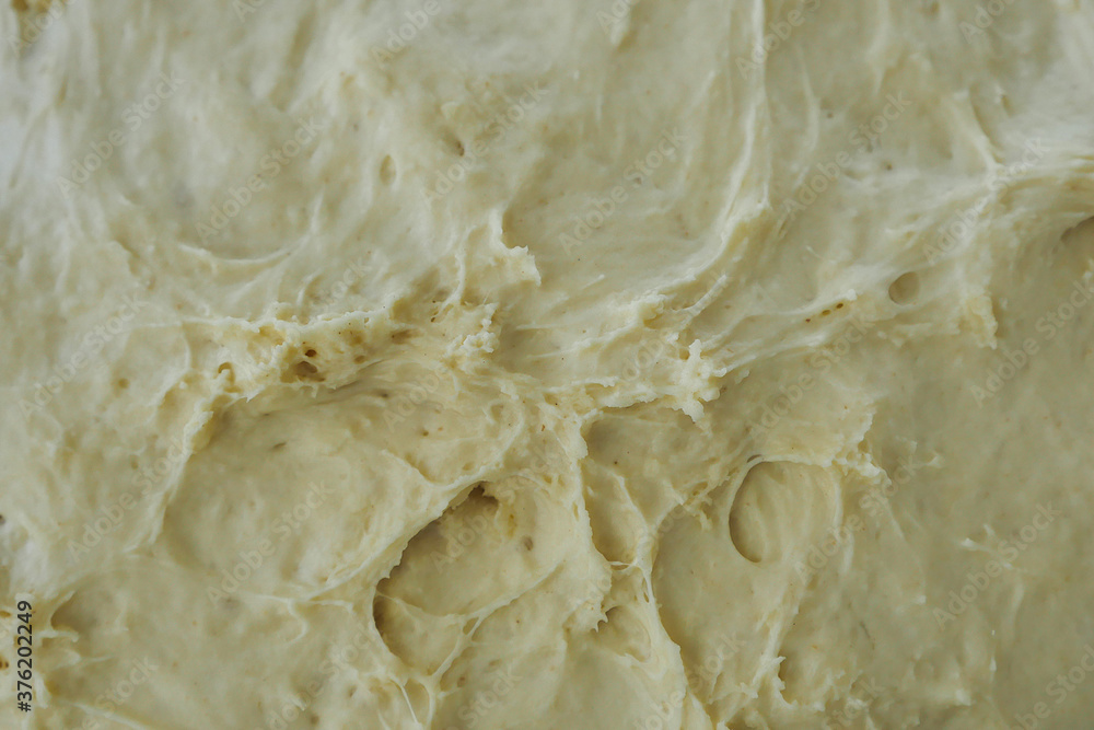leavened dough in a bowl, yeast dough, homemade natural dough, leavened dough in a bowl, yeast dough, homemade natural dough,