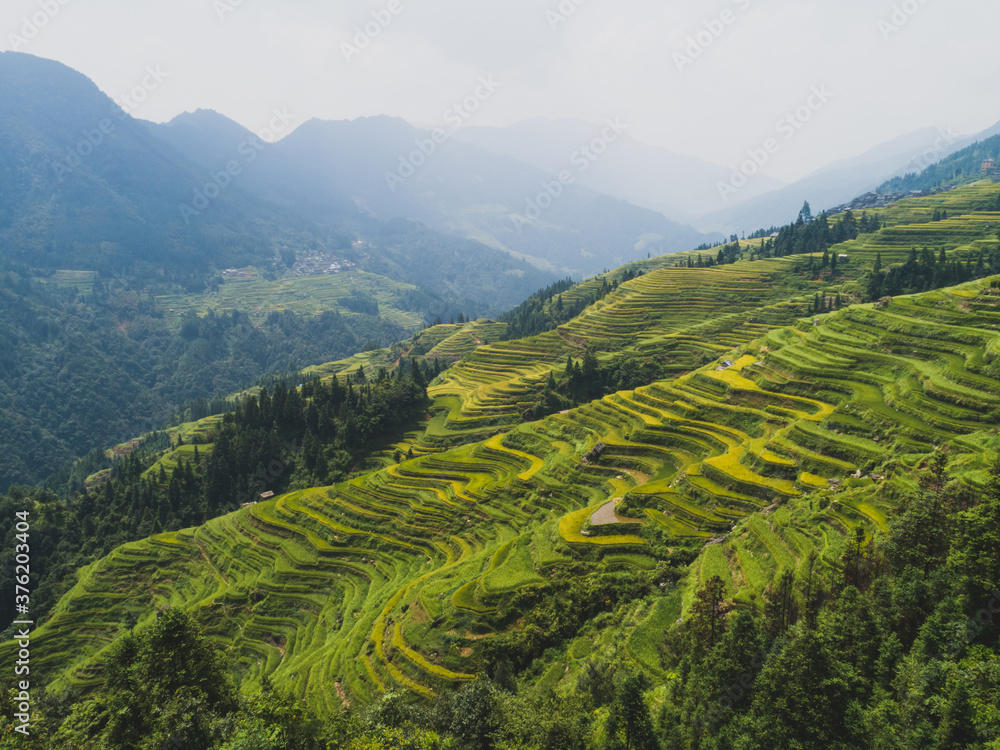 Beautiful terrace rice field with small houses in China