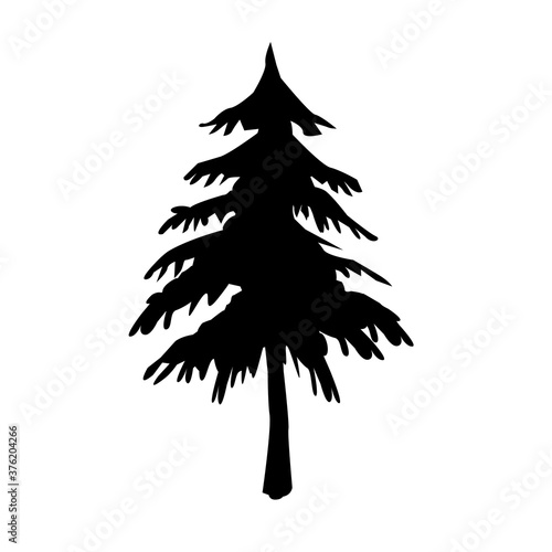 Tree icon on white background,pine