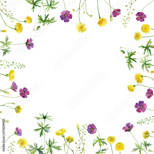 Watercolor frame of wild red and yellow flowers on white background