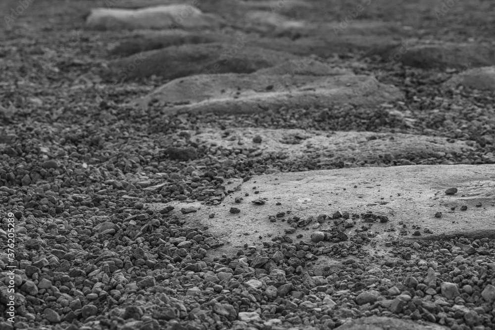 the stone path the stone path