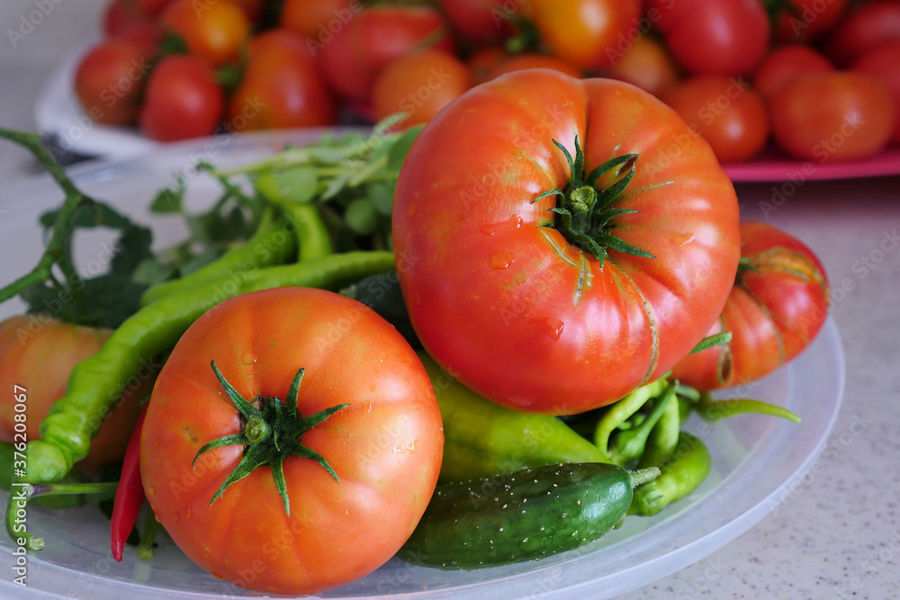 organic garden products, large tomato, close-up large natural field tomato, organic garden products, large tomato, close-up large natural field tomato,