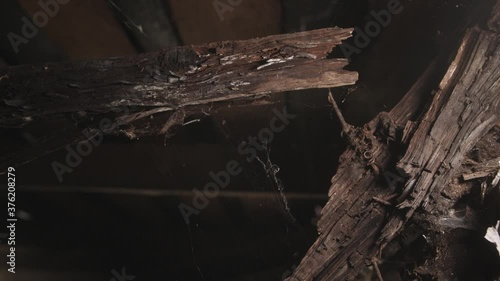 Mysterious and scary dark place a shed the web hungs on the wood boards and moves in the wind. photo