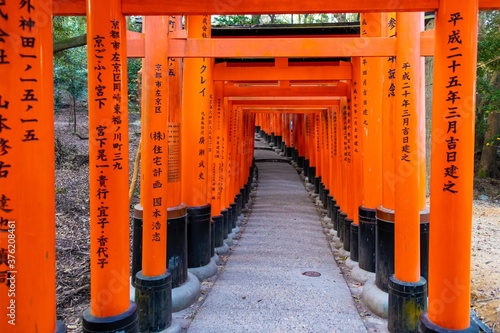 Fushimi Inari Shrine in Kyoto  Japan.