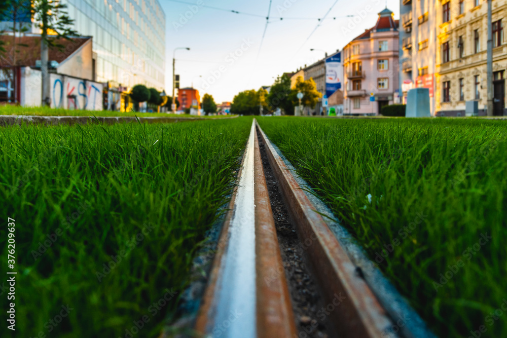 Green tramway track. Grass covered tramway track. Greenery in the city. Habitable zone reduce urban heat. Island effect.