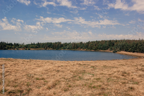 lake in the forest