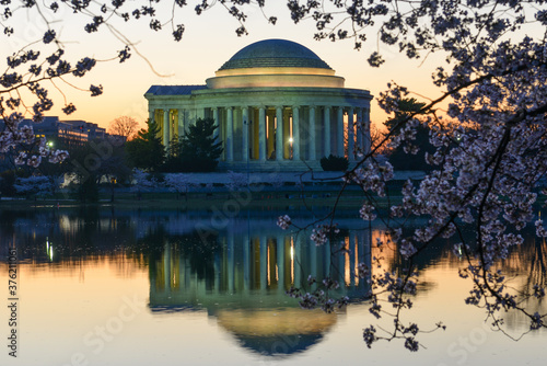 Foto Jefferson Memorial and cherry blossoms at night - Washington D
