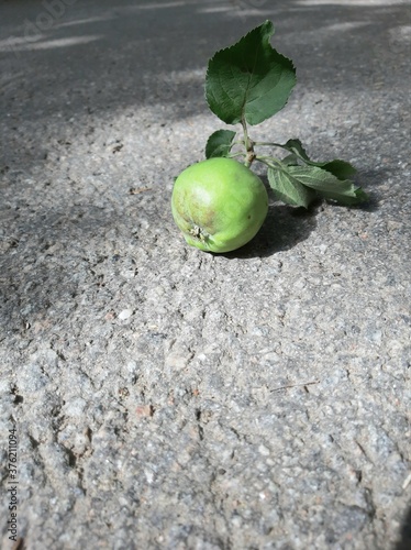 Green apple with leaves on asphalt