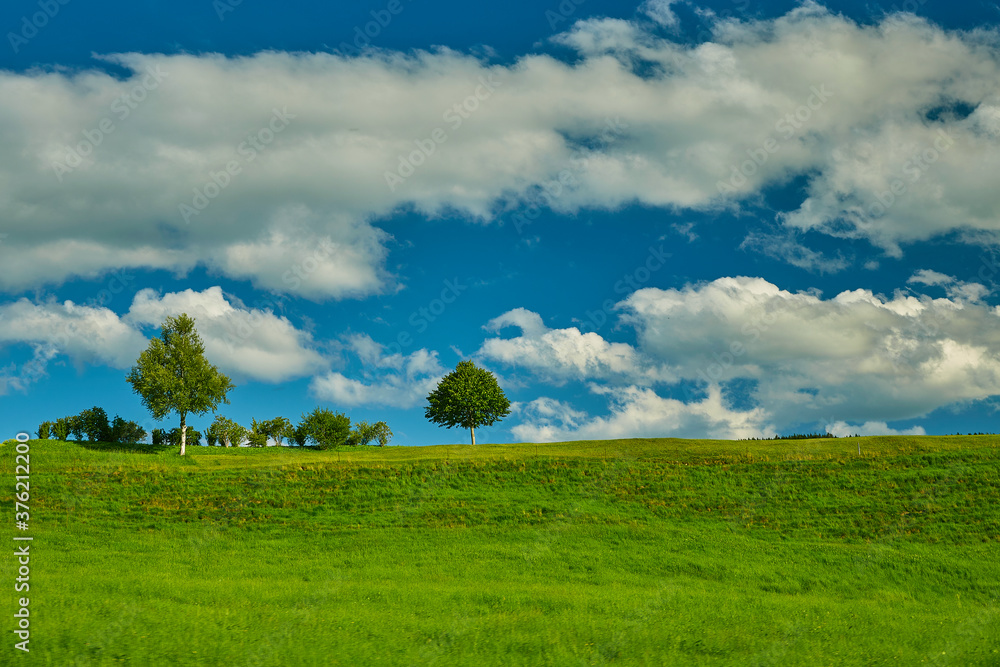 Naklejka premium Landschaft mit grünen Wiese und Bäumen