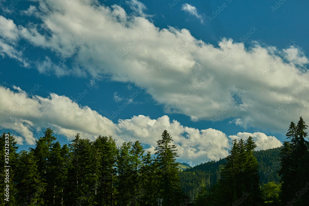 Berglandschaft in der Schweiz - Wald und Wolken in Kanton St. Gallen