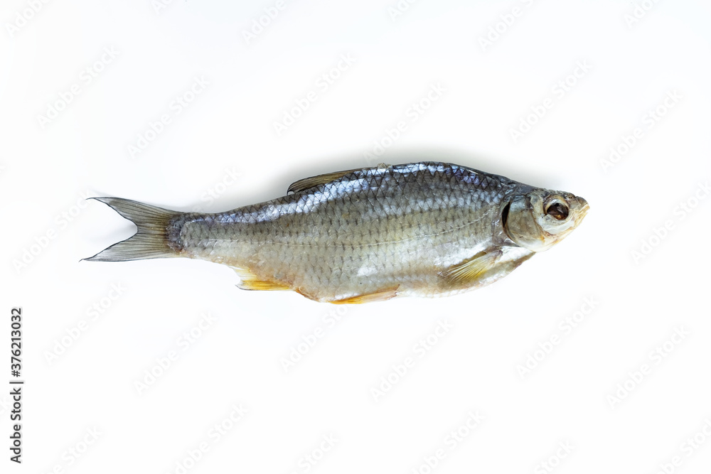 isolated close up top view single dried salted caspian roach fish on a white background isolated close up top view single dried salted caspian roach fish on a white background