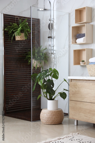 Bathroom interior with shower stall and houseplants. Idea for design