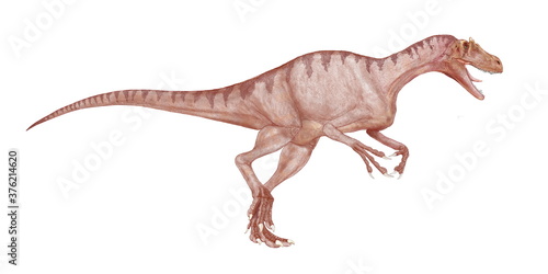 デルタドロメウス　肉食恐竜　白亜紀後期の初め頃北西アフリカに生息した。体長は8メートルほどの大型であったが、細身で動作は素早く、軽量のため足は速かったと思われる。頭骨は発見されておらず、アロサウルス以上に特殊な頭部の鶏冠状の突起はあったかどうか不明。魚食であったスピノサウルスや大型の植物食性であったカルカロドントサウルスと異なり、俊敏な小型の爬虫類を餌にしていたのではないかとされる。 photo