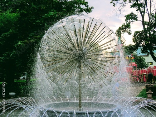 Dandelion fountain