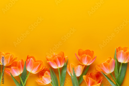 Yellow pastels color tulips on the yellow background. Retro vintage style.