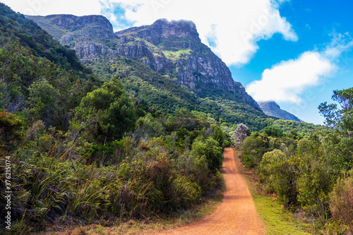 Big mountains and trails Kirstenbosch National Botanical Garden, Cape Town.