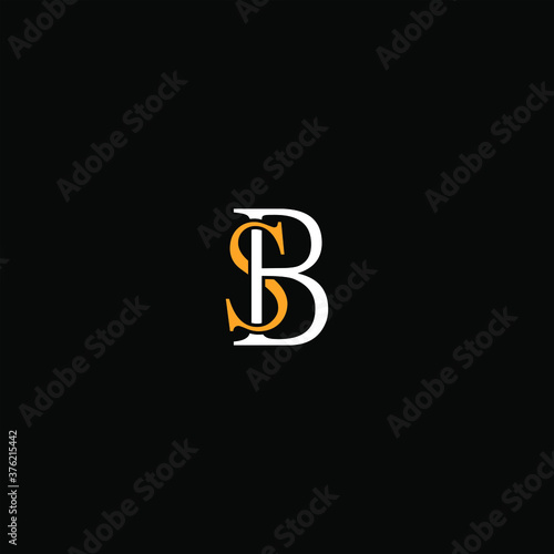 S B joint letter logo creative design photo