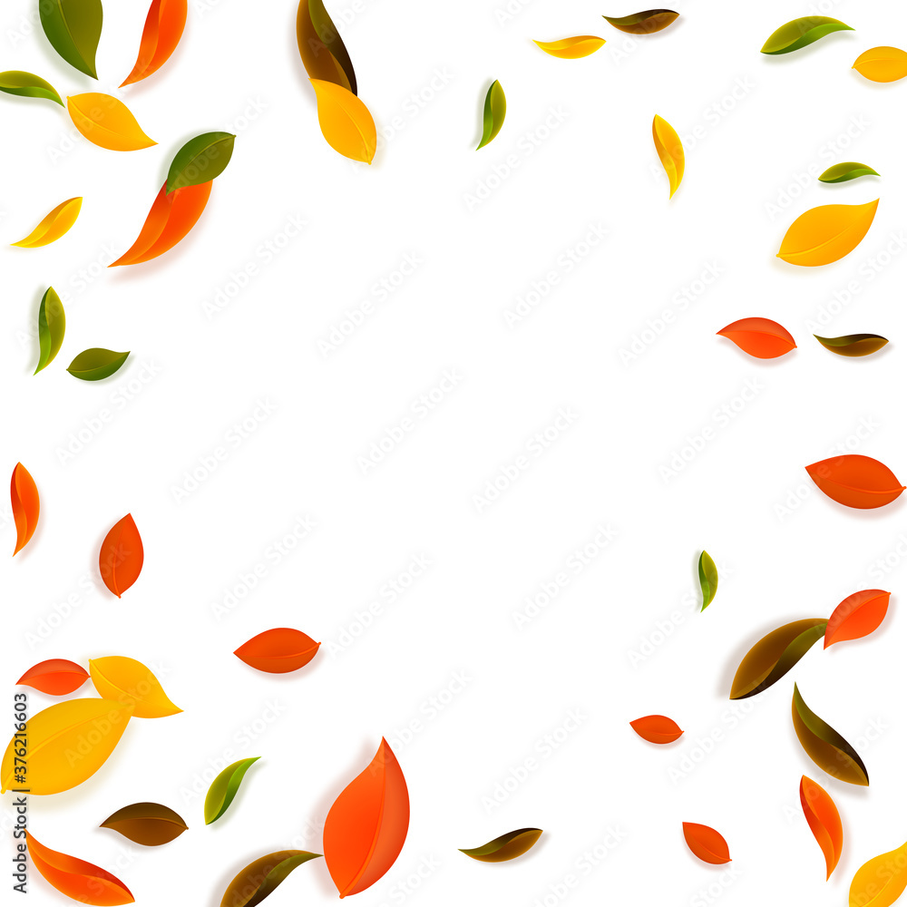 Falling autumn leaves. Red, yellow, green, brown c Falling autumn leaves. Red, yellow, green, brown c