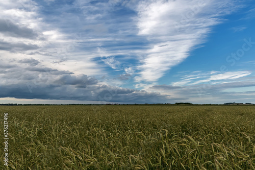 Summer sky before a thunderstorm, Pskov region