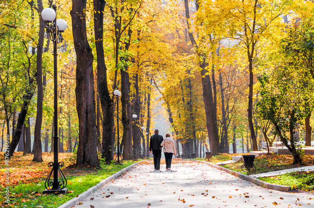 An elderly couple walks in the autumn park