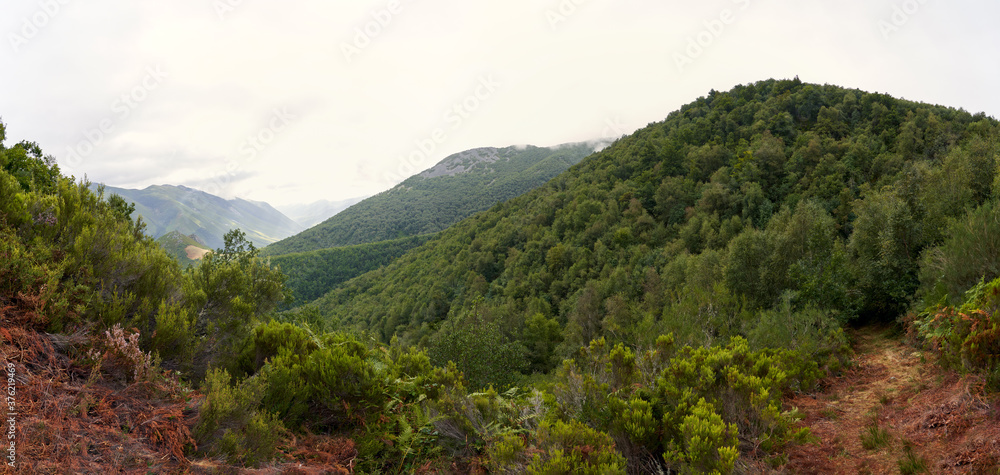 panoramic view of the beautiful landscape of the mountains with their vegetation to the southwest of Asturias in Spain