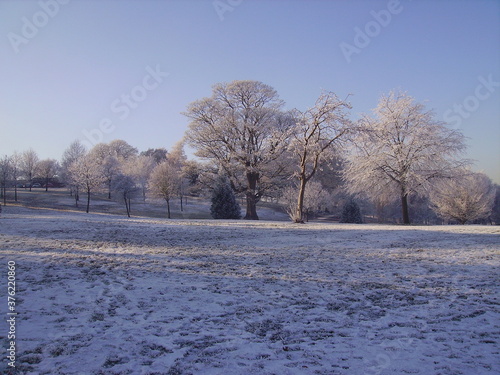 Wallpaper Mural DIGITAL CAMERA Torontodigital.ca