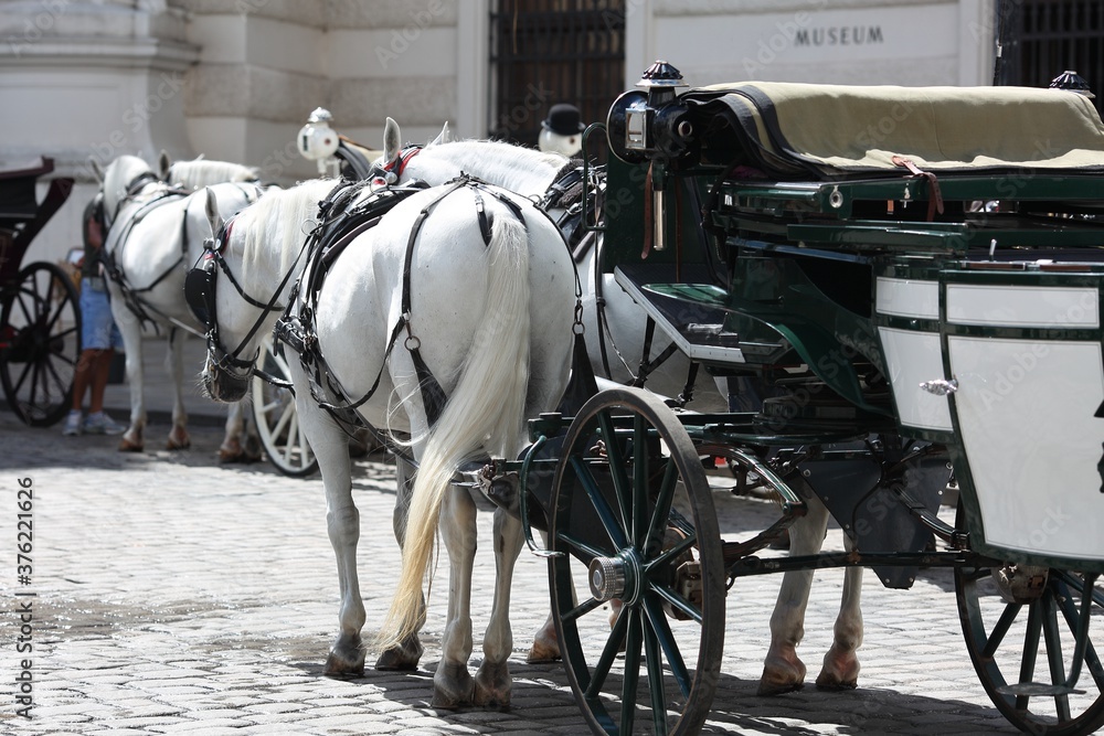 Carriage in Vienna