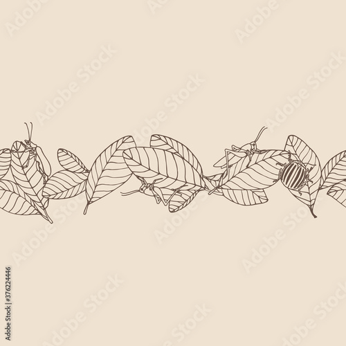 horizontal seamless pattern of decorative leaves & pest insects, grasshopper, locust, colorado beetle, color vector illustration with sepia contour lines on a milky background in a hand drawn style