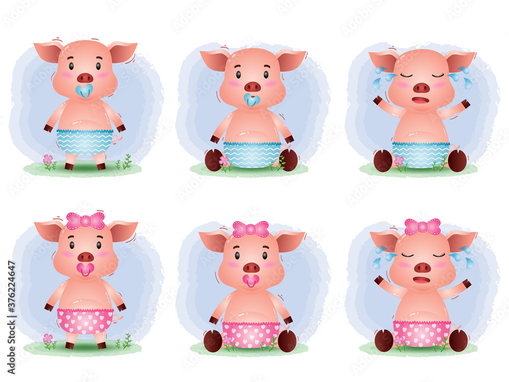 cute pig baby collection in the children's style cute pig baby collection in the children's style